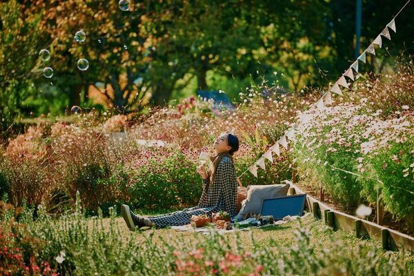 神戸を一望できる山上のリゾート“神戸布引ハーブ園”で秋を満喫！「GARDEN FEST 2025-Autumn- のんびり、ぶらり、秋散歩」を9/13(土)～12/7(日)に開催