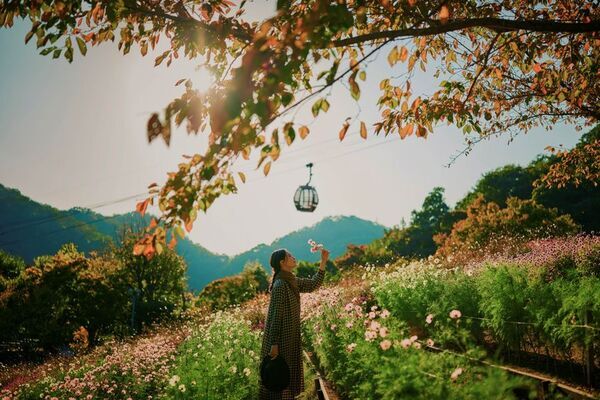 神戸を一望できる山上のリゾート“神戸布引ハーブ園”で秋を満喫！「GARDEN FEST 2025-Autumn- のんびり、ぶらり、秋散歩」を9/13(土)～12/7(日)に開催