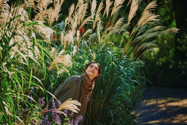 神戸を一望できる山上のリゾート“神戸布引ハーブ園”で秋を満喫！「GARDEN FEST 2025-Autumn- のんびり、ぶらり、秋散歩」を9/13(土)～12/7(日)に開催