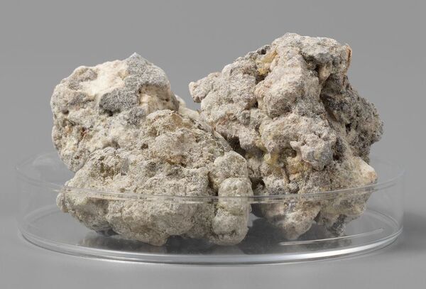 「けむりと人々のつながり ―メソアメリカの記憶」たばこと塩の博物館(東京・墨田区)で9/20(土)-12/21(日)開催