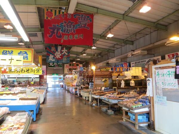 『知多半島の有料道路　1日1,000円ETC乗り放題企画』を10月土日祝日限定で開催！魅力的な観光スポット巡りに最適