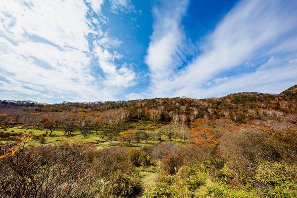 群馬県赤城山 紅葉の時期に「普段は入れない！赤城白樺牧場 秘密の絶景ツアー 2025Autumn」開催