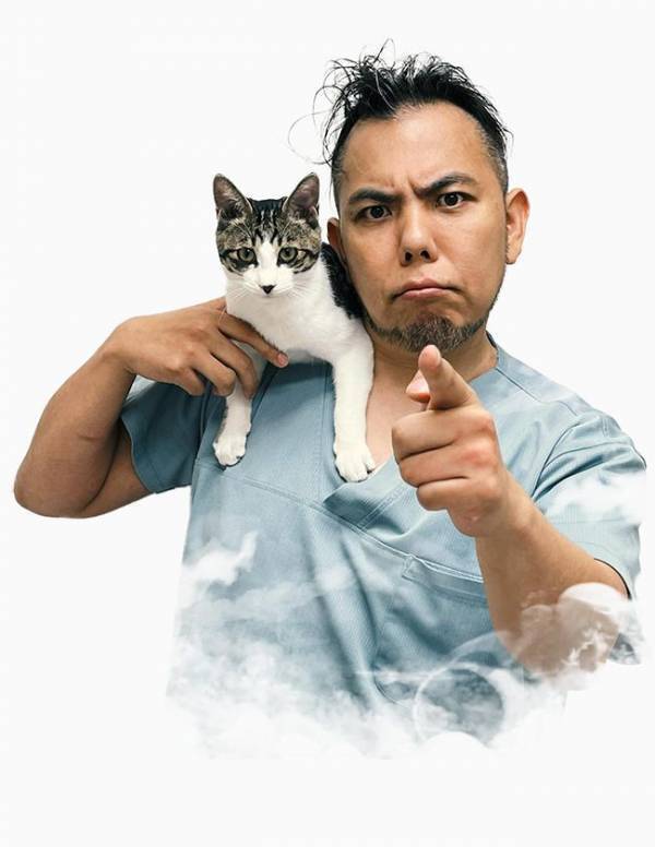 新作アニメPVの一気観番組「つづきみ」第37回9月30日配信　一気観タイトル・ゲスト出演タイトル発表！