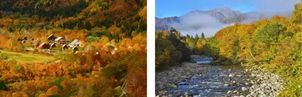 山々に挟まれた秘境に広がる紅葉の絶景に癒されて♪魚沼市の紅葉名所5選