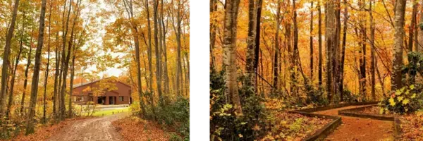 山々に挟まれた秘境に広がる紅葉の絶景に癒されて♪魚沼市の紅葉名所5選