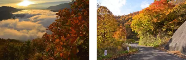 山々に挟まれた秘境に広がる紅葉の絶景に癒されて♪魚沼市の紅葉名所5選