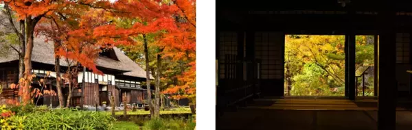 山々に挟まれた秘境に広がる紅葉の絶景に癒されて♪魚沼市の紅葉名所5選