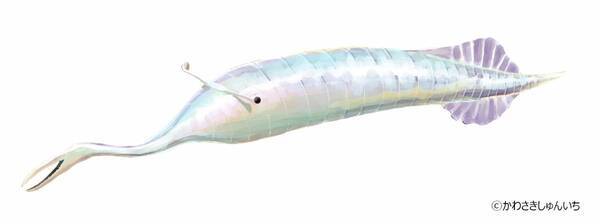 話題沸騰！「すみっコぐらし」アクキー全種付きチケット、謎解きプリント付きチケットが9月25日(木)午前10時より発売決定！古生物たちが“もふもふ”化！ぬいぐるみが登場！