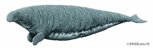 話題沸騰！「すみっコぐらし」アクキー全種付きチケット、謎解きプリント付きチケットが9月25日(木)午前10時より発売決定！古生物たちが“もふもふ”化！ぬいぐるみが登場！