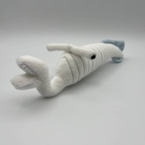 話題沸騰！「すみっコぐらし」アクキー全種付きチケット、謎解きプリント付きチケットが9月25日(木)午前10時より発売決定！古生物たちが“もふもふ”化！ぬいぐるみが登場！