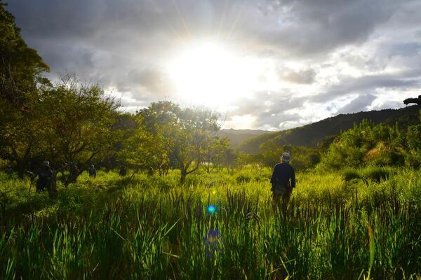 日本の森は みんなの力で 変えられる　『森といのちの上映祭』を滋賀・三井寺で10月26日(日)開催　「菌ちゃん農法」×「大地の再生」各指導者の対談トークも
