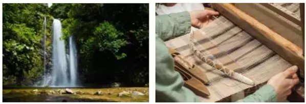 沖縄・やんばるの自然・文化・暮らしを満喫！地域とのふれあいが新しい「地域交流型サイクルツーリズム体験ツアー」＜2026年2月販売開始予定＞