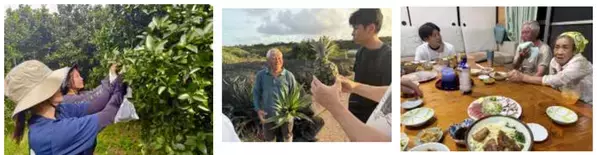 沖縄・やんばるの自然・文化・暮らしを満喫！地域とのふれあいが新しい「地域交流型サイクルツーリズム体験ツアー」＜2026年2月販売開始予定＞