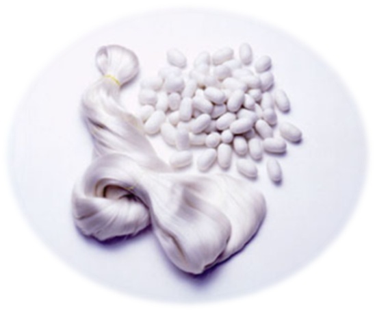 あべのハルカス近鉄本店「イッピンEXPO」