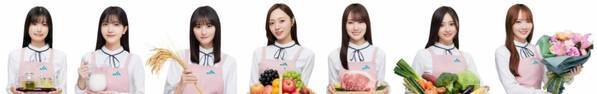 食の楽しさを未来へ繋げよう！JAグループが乃木坂46と連携した「国消(こくしょう)国産(こくさん)」新テレビCMを公開！～乃木坂メンバーから国消国産の大切さを説明する動画も公開～