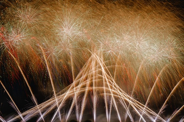 「2025三郷花火大会」アクセス向上を目指し駐車場オーナーを募集いたします