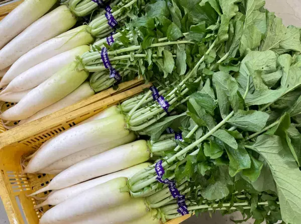 ＼行列必至の大人気イベント「両手ですくい取り・新米こしひかり」が登場／「上州・村の駅」は10月の毎週末『お野菜イベント』を開催します！