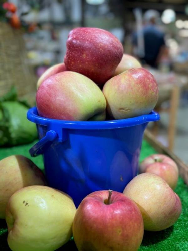 ＼行列必至の大人気イベント「両手ですくい取り・新米こしひかり」が登場／「上州・村の駅」は10月の毎週末『お野菜イベント』を開催します！