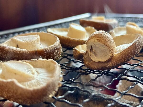 ＼行列必至の大人気イベント「両手ですくい取り・新米こしひかり」が登場／「上州・村の駅」は10月の毎週末『お野菜イベント』を開催します！