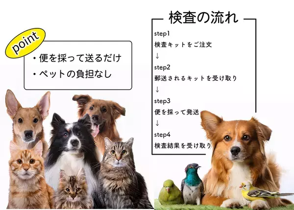 自宅で簡単にペットの健康チェック「ペット検便」開始　人とペットの共生時代に、感染症リスク対策をサポート
