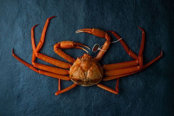 人生に、感じる時間を。兵庫県・香美町に“感性の宿”The Sanaton誕生へ｜クラウドファンディング開始