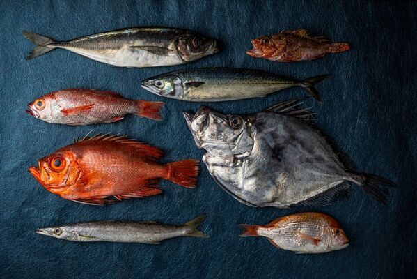 人生に、感じる時間を。兵庫県・香美町に“感性の宿”The Sanaton誕生へ｜クラウドファンディング開始