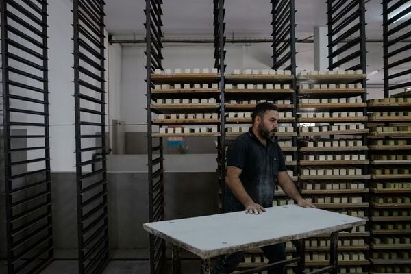 ユネスコ無形文化遺産「パレスチナ石鹸 ナーブルスソープ」の伝統から誕生 ― 壊されゆくオリーブの木と人々の暮らしを未来につなぐフェイスクリーム、2025年11月日本初上陸