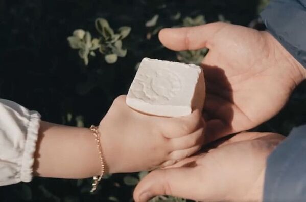 ユネスコ無形文化遺産「パレスチナ石鹸 ナーブルスソープ」の伝統から誕生 ― 壊されゆくオリーブの木と人々の暮らしを未来につなぐフェイスクリーム、2025年11月日本初上陸