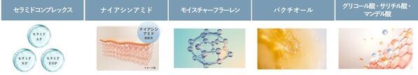 医師の知見から生まれた「スローエイジング」がコンセプトの本質的なコスメ【Dr.MiCHAEL】誕生！10/1より発売