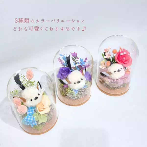 Xで話題沸騰のシマエナガシリーズに新色登場！プリザーブドフラワーの新しいギフトを数量限定で販売開始