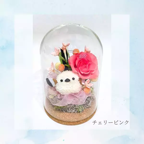 Xで話題沸騰のシマエナガシリーズに新色登場！プリザーブドフラワーの新しいギフトを数量限定で販売開始