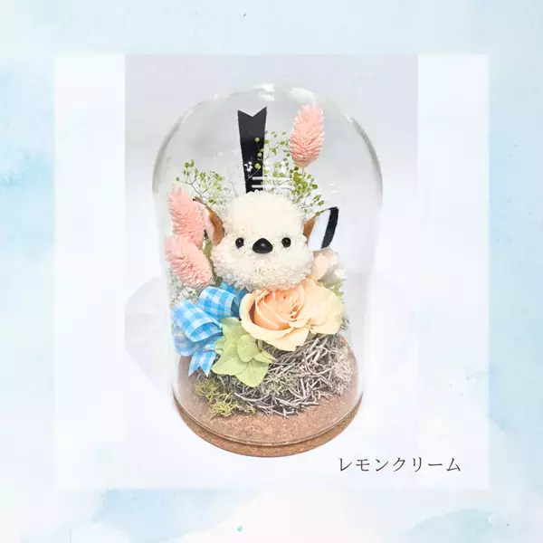 Xで話題沸騰のシマエナガシリーズに新色登場！プリザーブドフラワーの新しいギフトを数量限定で販売開始