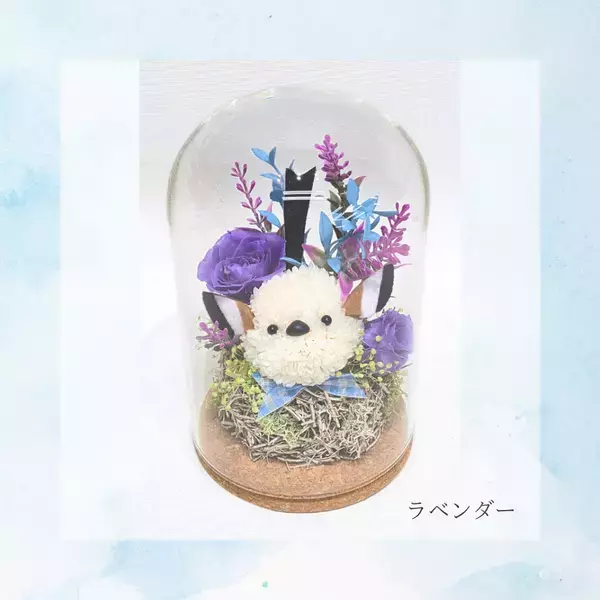 Xで話題沸騰のシマエナガシリーズに新色登場！プリザーブドフラワーの新しいギフトを数量限定で販売開始