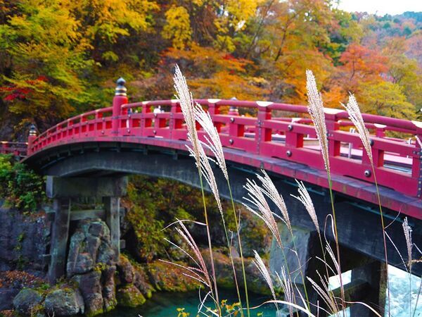 秋の日光を満喫！紅葉とハロウィン装飾を楽しむグランピング　「ブリリアントヴィレッジ日光」秋の紅葉プラン販売開始！