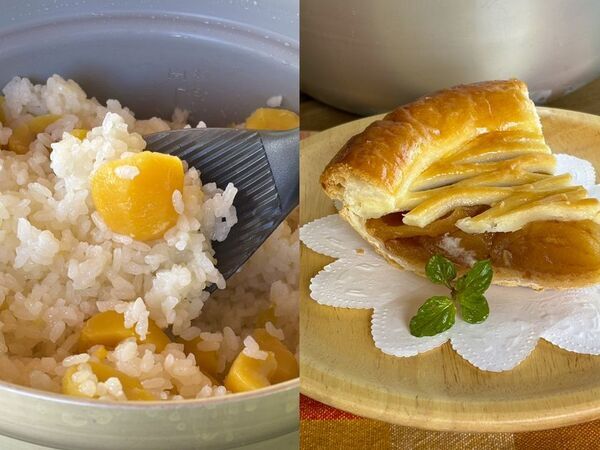 秋の日光を満喫！紅葉とハロウィン装飾を楽しむグランピング　「ブリリアントヴィレッジ日光」秋の紅葉プラン販売開始！