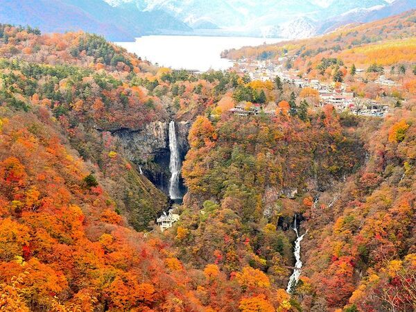 秋の日光を満喫！紅葉とハロウィン装飾を楽しむグランピング　「ブリリアントヴィレッジ日光」秋の紅葉プラン販売開始！