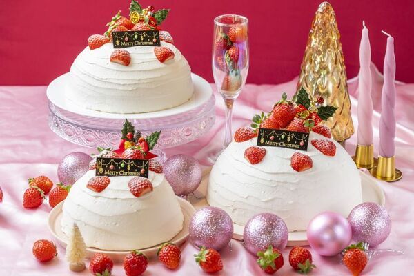 ＜いちご専門店 いちごBonBonBERRY＞静岡いちごを約100粒使用したツリー型のプレミアムケーキも！2025クリスマスケーキを10月4日(土)から予約受付開始