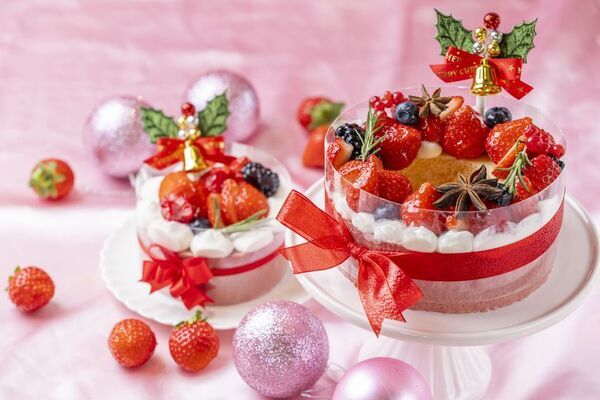 ＜いちご専門店 いちごBonBonBERRY＞静岡いちごを約100粒使用したツリー型のプレミアムケーキも！2025クリスマスケーキを10月4日(土)から予約受付開始