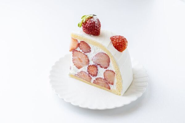 ＜いちご専門店 いちごBonBonBERRY＞静岡いちごを約100粒使用したツリー型のプレミアムケーキも！2025クリスマスケーキを10月4日(土)から予約受付開始