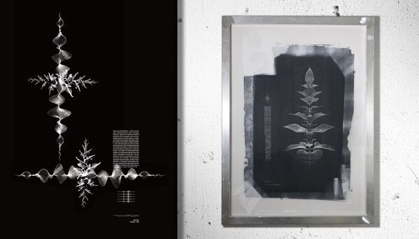 物質調律家・山崎タクマがニューヨークで個展開催