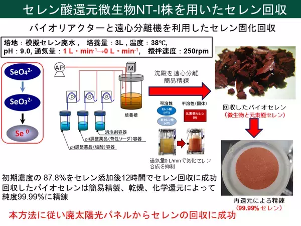 世界初、微生物を利用して廃太陽電池からレアメタルの回収に成功