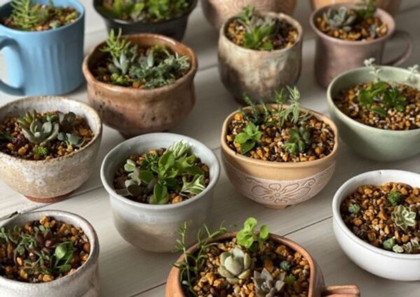 これまで世に出たことのない新作萩焼の大発表会！山口県萩市の陶器市「弐萩祭」を10月31日(金)～11月4日(火)に開催