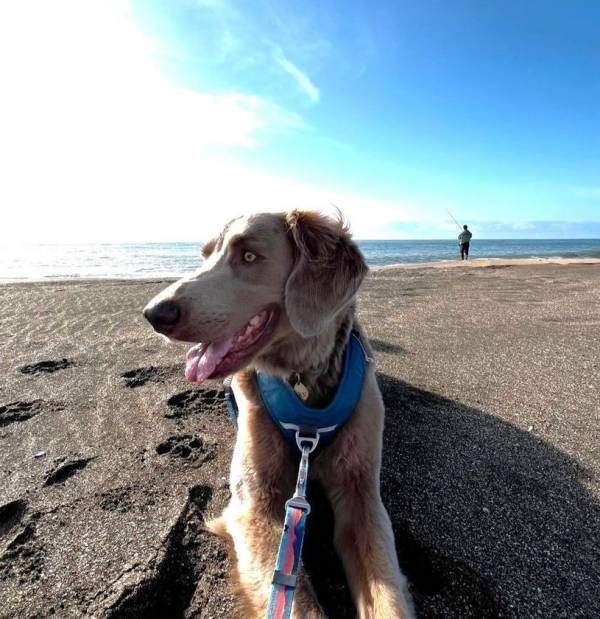 心豊かな暮らしとものづくり。千葉・九十九里で見つける　とっておきのクラフト5選