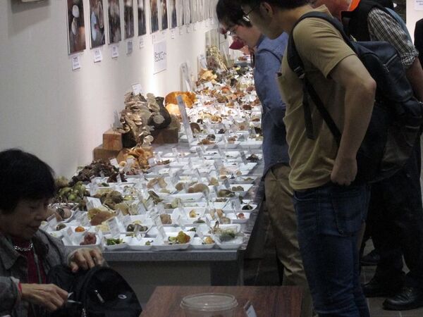 きのこ展や紅葉ライトアップなど、植物園の多種多彩な秋を楽しむ『めくるめく秋のボタニカルガーデン』を開催　10月25日(土)～12月7日(日)