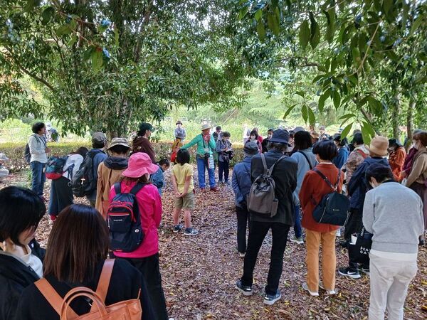 きのこ展や紅葉ライトアップなど、植物園の多種多彩な秋を楽しむ『めくるめく秋のボタニカルガーデン』を開催　10月25日(土)～12月7日(日)