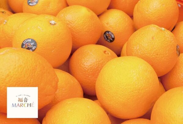 神戸メリケンパークにて「メリケンわんだーパーク2025秋」を開催