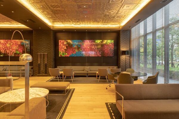 お台場でハワイを体感！「ALOHA OCEANS ODAIBA」11/22(土)・23(日)初開催　音楽・フラ・フード・アートが集結