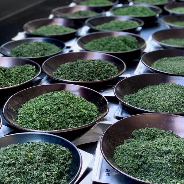 創業1872年、滋賀の老舗茶問屋・丸安茶業が8種の新抹茶を発表