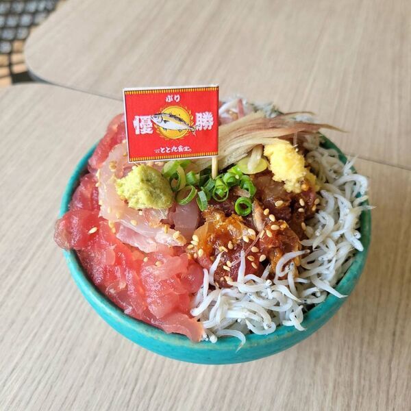 【漁港の駅TOTOCO 小田原】第4回 赤白決めるのはあなた！「とと丸地魚大運動会」10月9日(木)よりスタート