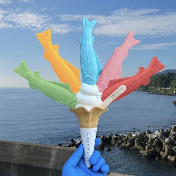 【漁港の駅TOTOCO 小田原】第4回 赤白決めるのはあなた！「とと丸地魚大運動会」10月9日(木)よりスタート